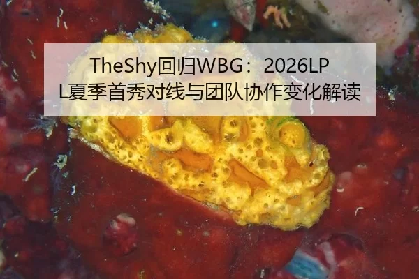 TheShy回归WBG：2026LPL夏季首秀对线与团队协作变化解读